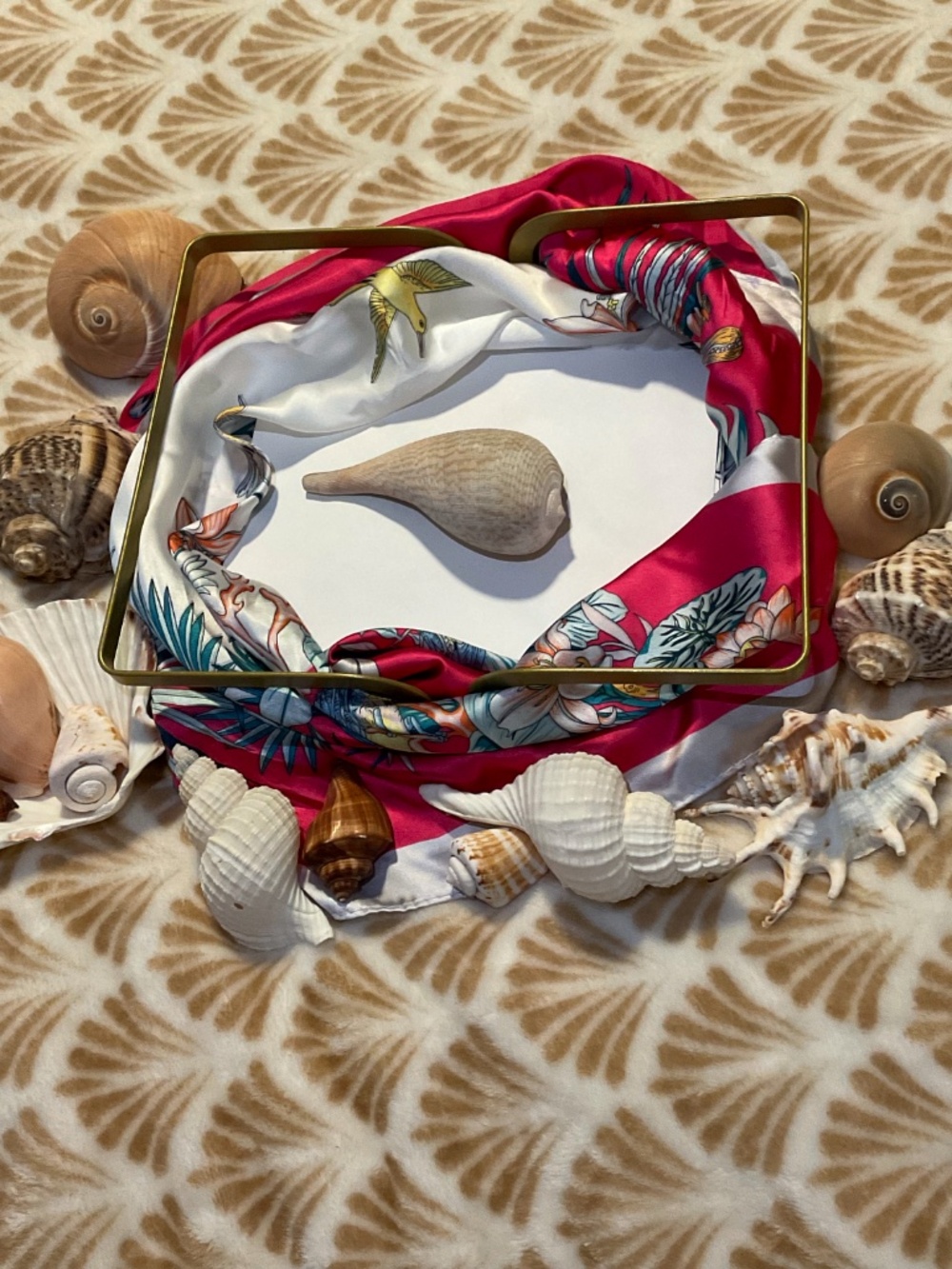 Paper Fig Sea Shell Trinket Dish - Picture 3 of 5